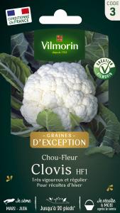 Chou-fleur Clovis F1 - Graines d'Exception